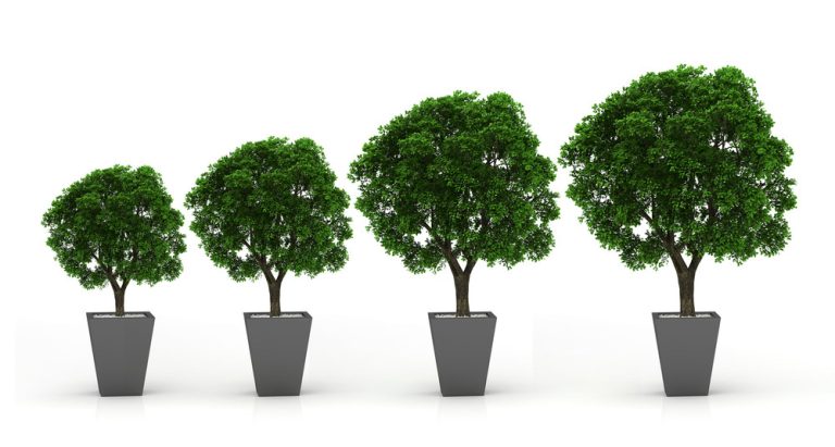 Understanding Slow but Stable Growth