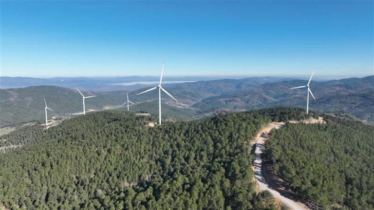 Biznas | Enerjisa Üretim Enters Europe’s Top Tier with 1,000 MW Wind Portfolio